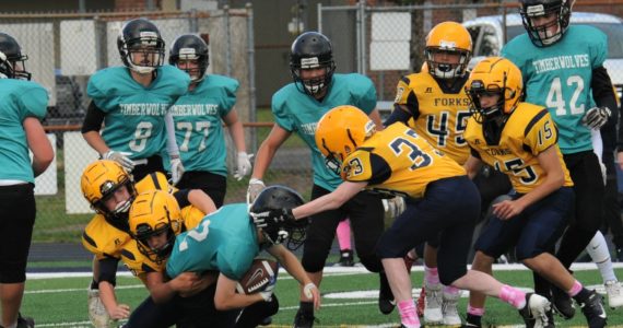 Above: Several Spartans converge on a Timberwolf running back. Photos by Lonnie Archibald