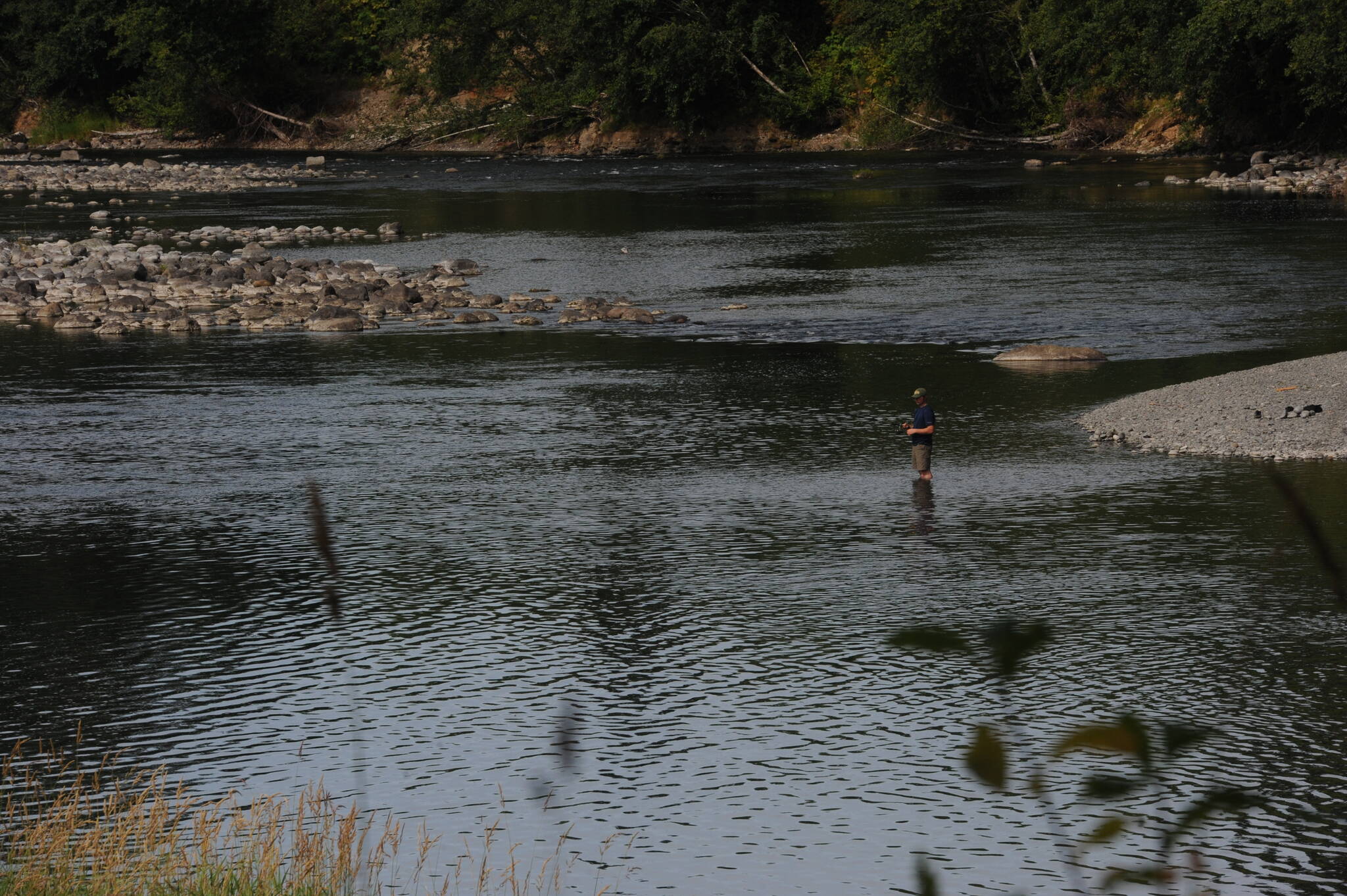 Quillayute River. Photo Lonnie Archibald