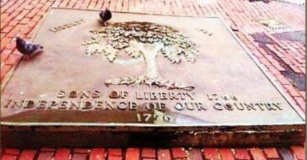 Plaque set by The Sons of Liberty on-site where Liberty Tree stood. Inscription: “Sons of Liberty 1766 Independence of our Country 1776”