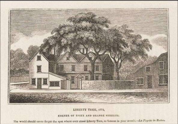 Liberty Tree in 1774 at the corner of Essex and Orange Streets, Boston, Mass.