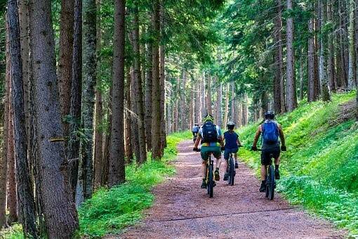 Join the Fierce and Fabulous Movement Challenge on the Beanstack app to earn badges and entry into a drawing for an Olympic National Park Annual Pass.