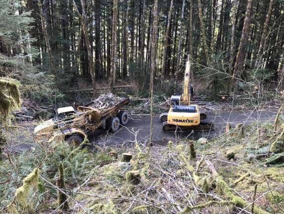 Tree clearing activity from March 2021. FHA Photo