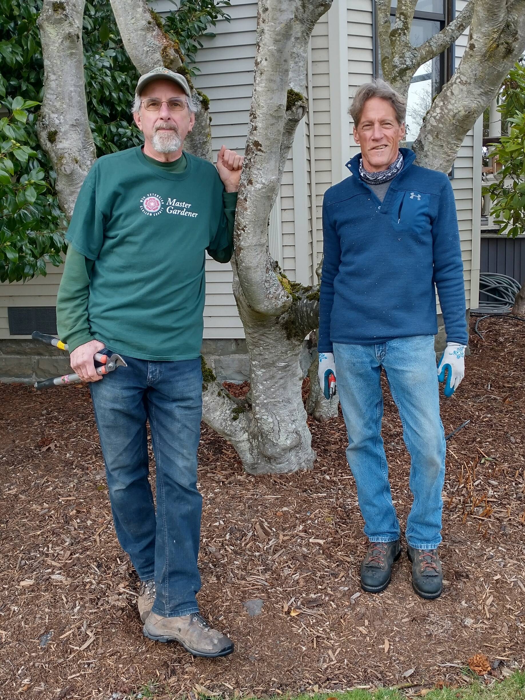 SUCCESSFUL PRUNING. Clallam County Master Gardeners Keith Dekker and Gordon Clark will teach local gardeners how to prune successfully from 10:30 am to 12 noon on Saturday, April 2 at the Demonstration Garden at 2711 Woodcock Road in Sequim. See Clallam County Master Gardener calendar for details.