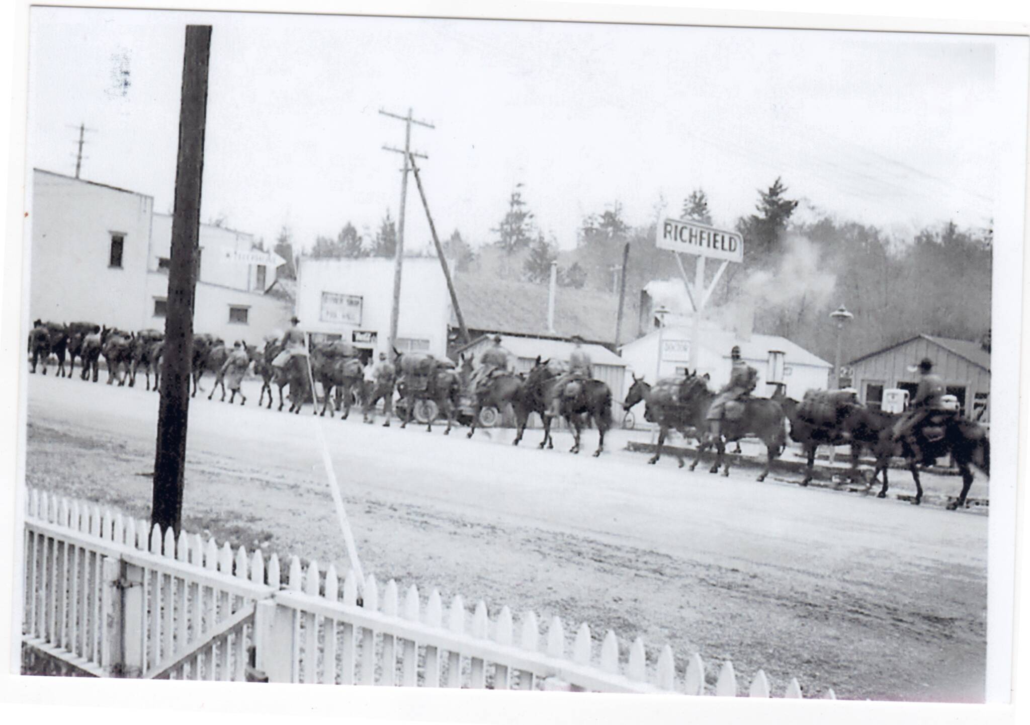 “Army Mule Train” passes through Clallam Bay on its way east (April 1942). Details about this event are sketchy, since military authorities prohibited photographing the activity; all pictures were contraband. The army later denied that the event ever happened. (Brow family photo)