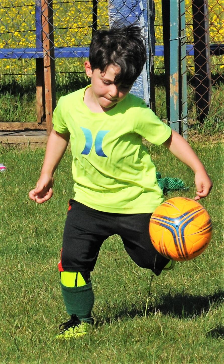 Anson Glenn has good eye-to-ball contact as he kicks down field during Practice. Glenn is a member of the 4 to 6-year-old Greywolf team. Photo by Lonnie Archibald