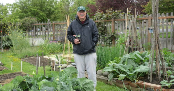 FALL AND WINTER VEGETABLE GARDENING. Clallam County Master Gardener Bob Cain will share tips on growing vegetables in fall and winter from 10:30 am to 12 noon on Saturday, July 16 via Zoom. See Clallam County Master Gardener calendar for viewing details. Submitted photo