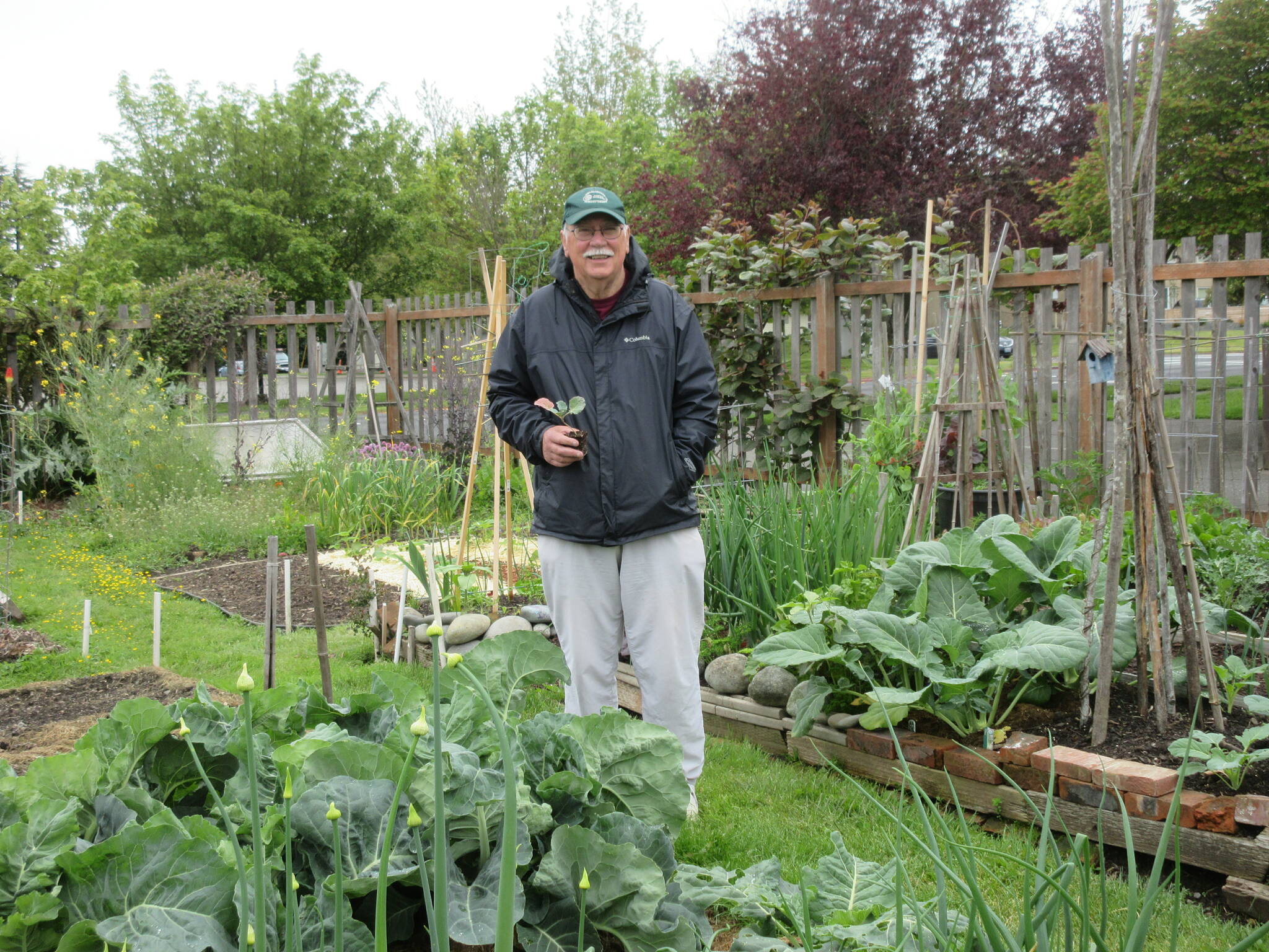 FALL AND WINTER VEGETABLE GARDENING. Clallam County Master Gardener Bob Cain will share tips on growing vegetables in fall and winter from 10:30 am to 12 noon on Saturday, July 16 via Zoom. See Clallam County Master Gardener calendar for viewing details. Submitted photo