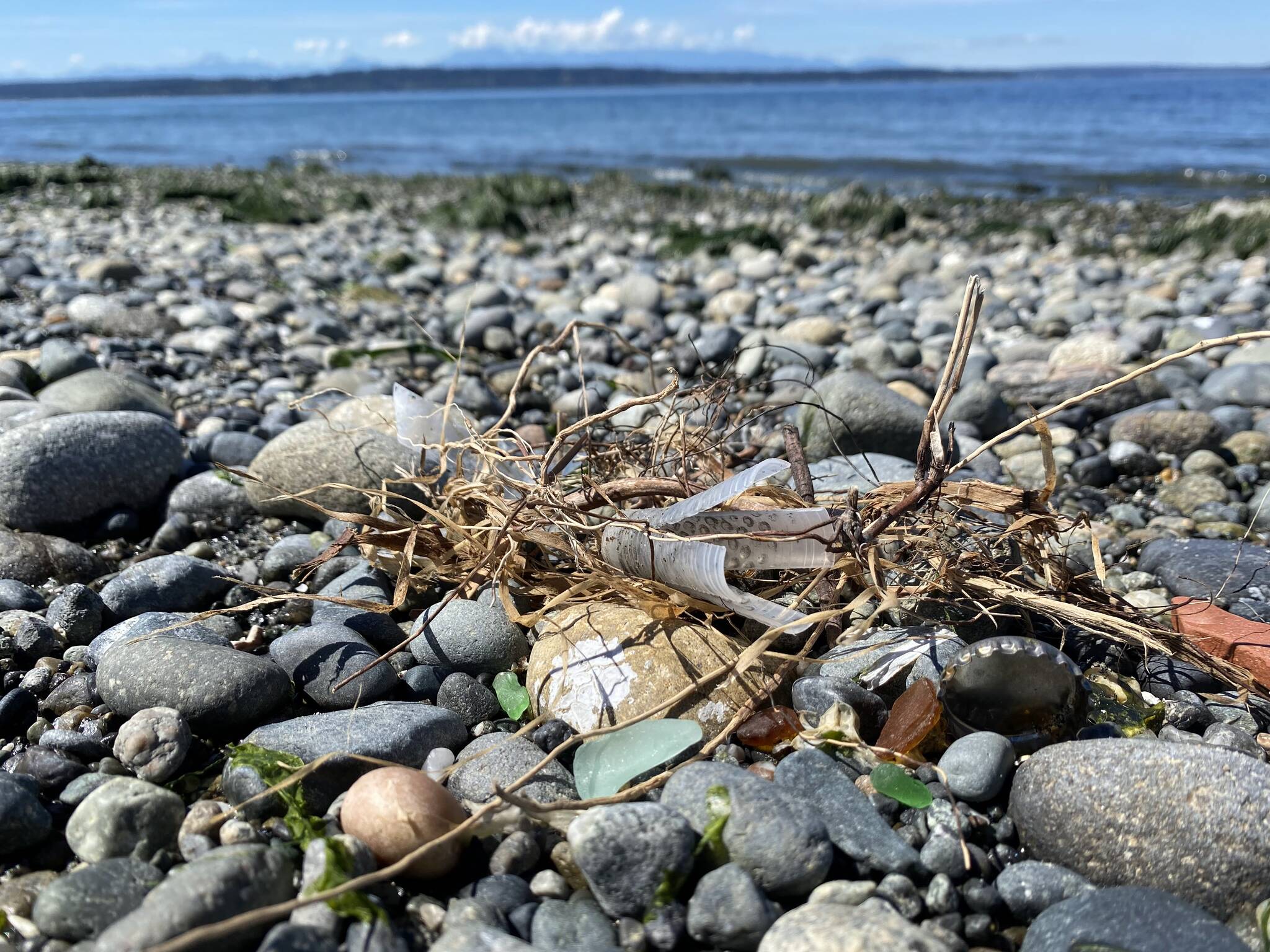 Beach litter at Discovery Park in Seattle includes a plastic shotgun wad, pieces of glass (green), a metal bottle cap (right foreground) and a piece of brick (far right). Volunteers’ surveys showed that non-plastic items like metal, glass and cement are more common on Puget Sound beaches than on the outer coast. Researchers say this suggests most of the litter in Puget Sound is generated locally. Credit: Kathy Willis/University of Washington