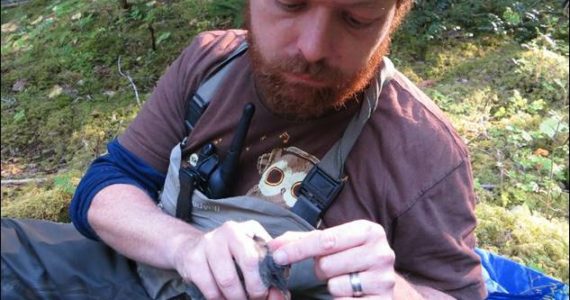 Christopher Tonra studies an American Dipper.