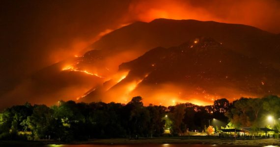 Find out how you can help safeguard your home from wildfires with appropriate landscaping techniques. Join Fire and Forest Health Specialist Blake Mann for the Green Thumb Education Series presentation “Firewise Landscaping, Thursday, February 23 rd from noon – 1 p.m. at the Clallam County Courthouse. (Photo by Mike Newbry)