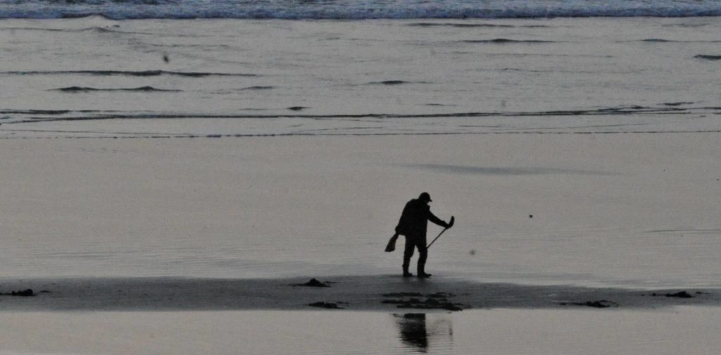 WDFW Announces Clam Tides Forks Forum