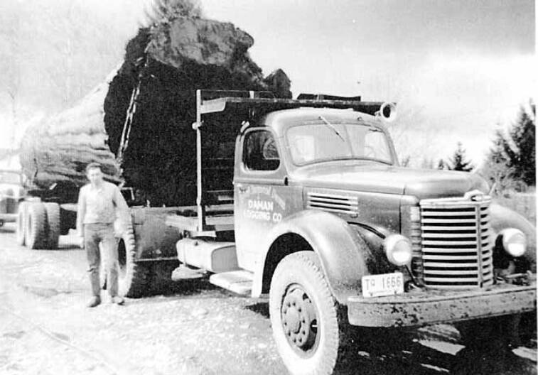 Worth around 1950 driving log truck. Ted Spolestra Collection
