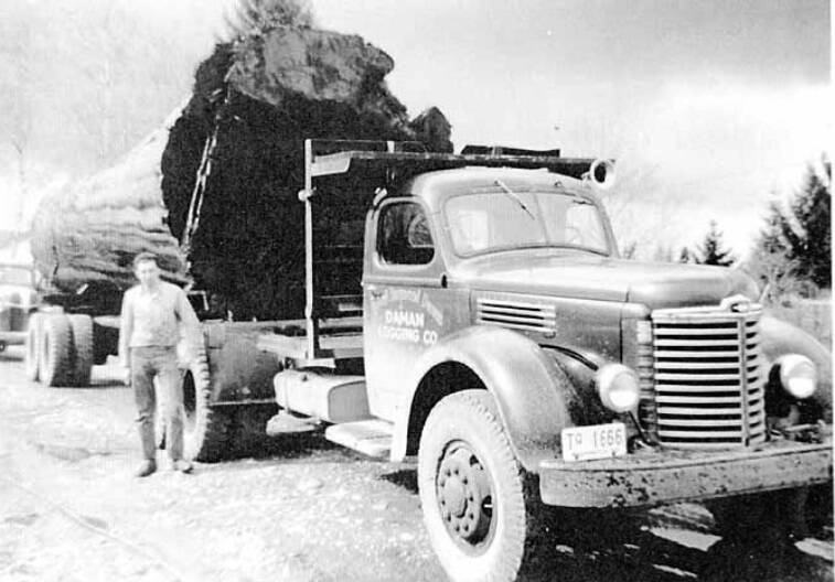 Worth around 1950 driving log truck. Ted Spolestra Collection