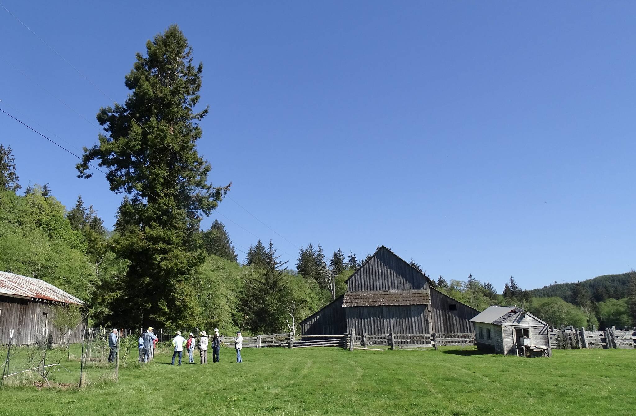 Members of the OOS gathering in the Cowan orchard.