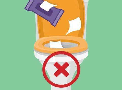 Flushable wipes …are not flushable!