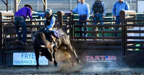 The Clallam County Fair runs Aug. 17 to 20 at Clallam County Fairgrounds.