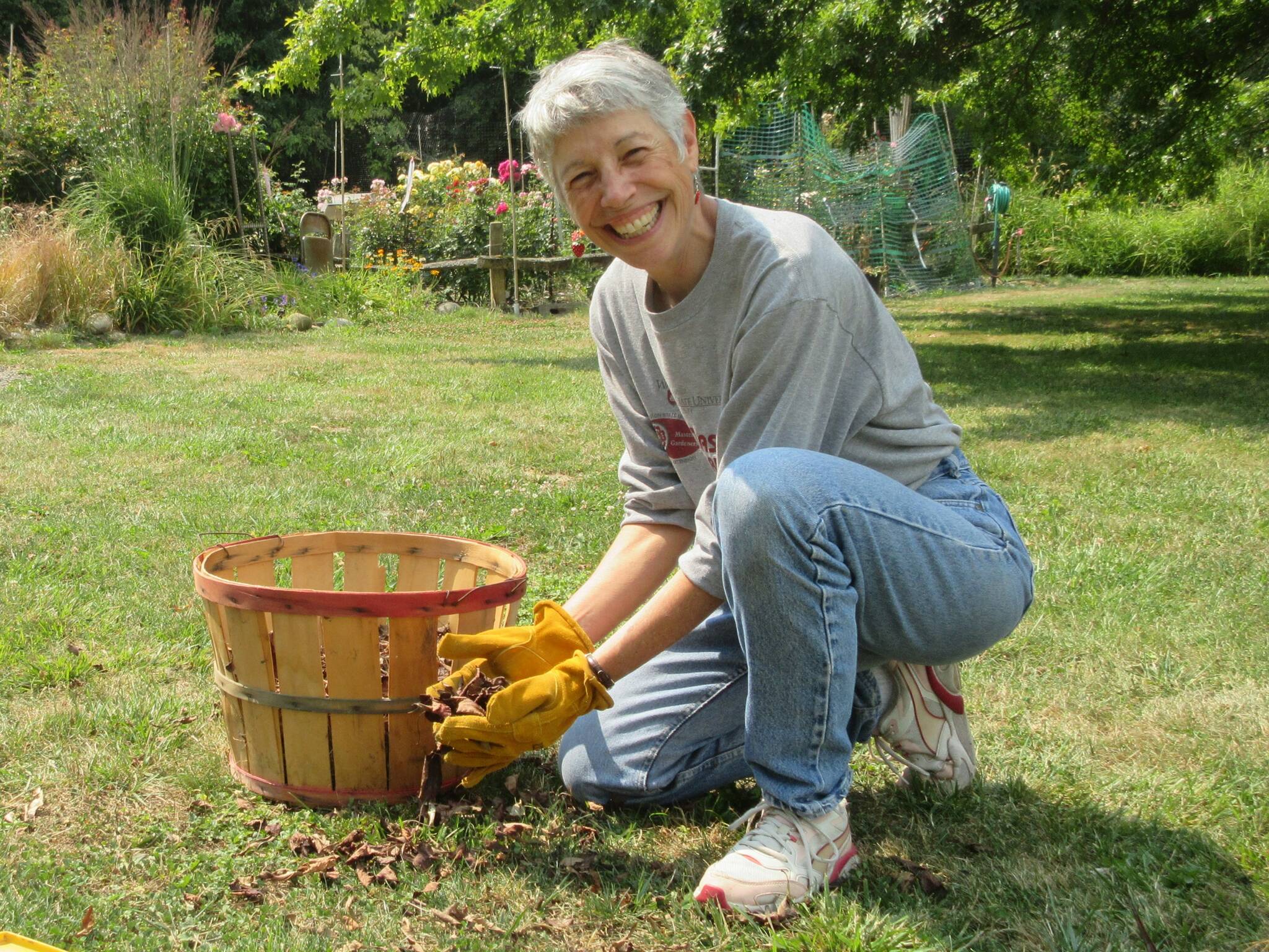 Summer is going fast, but a new burst of color is right around the corner! Join Clallam County Master Gardener Jeanette Stehr-Green for the Green Thumb Education Series presentation “Farewell to Summer: Autumn Leaves” and say hello to fabulous fall foliage Thursday, Sept. 14th from noon – 1 p.m. at the Port Angeles Library. (Photo by Audreen Williams, Clallam County Master Gardener).