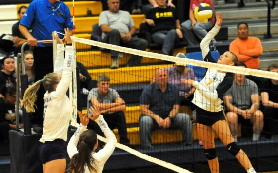 Forks’ Karee Neel hits. Photo by Lonnie Archibald