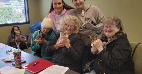 Pictured are (sitting at far left) Capriele Celaya and her daughter, back row - Aleda Adams, Shy Gorbett, in front Gig Kerr, Sherry Schaaf, and Joann Lawson; with cute kittens! Submitted photo.