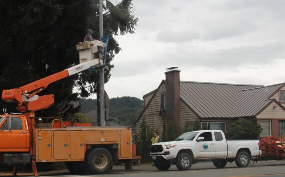 City of Forks Public Works crew members worked last week to get the downtown Christmas decorations up. Photo Christi Baron