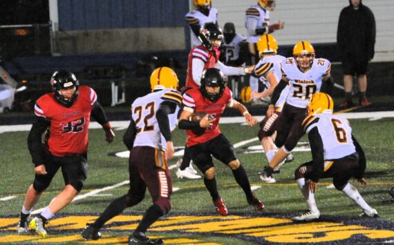 Neah Bay’s JoJo Wimberly looks for running room against Winlock during this playoff game held in Forks. An ankle injury early in the state 1B semifinals, over the weekend, limited his play. Photo by Lonnie Archibald