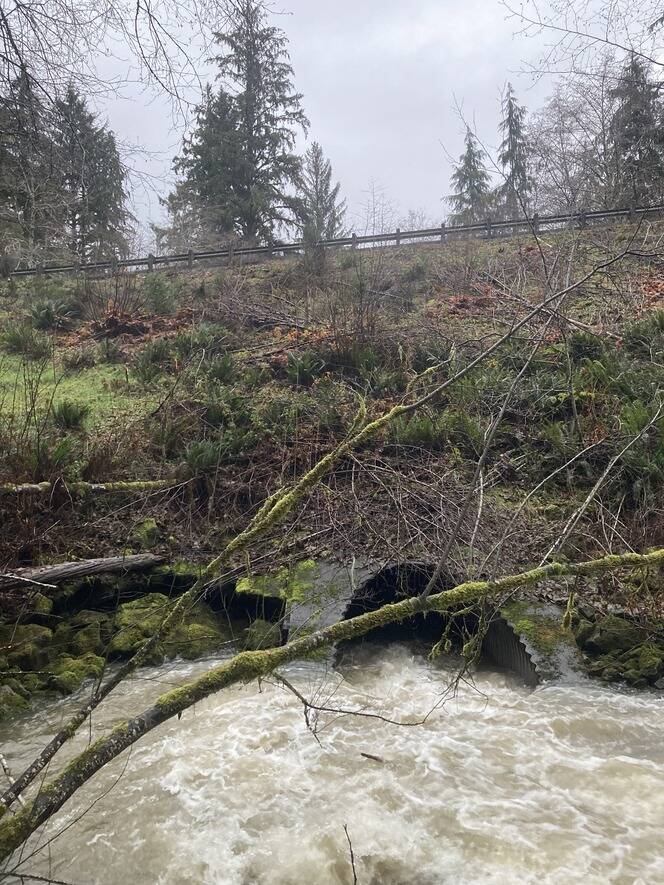 The outdated culvert under US 101 at the Jefferson-Clallam county line blocks fish passage in May Creek. Crews will work over the next couple of years to build a 175-foot bridge to replace the culvert and improve habitat. WSDOT photo