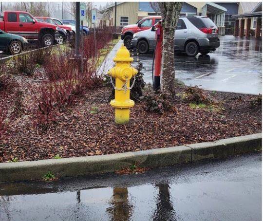 Water loss continues to be a top project for the city. In addition to underground leaks, this hydrant was found to be leaking and was replaced. City of Forks photo