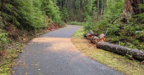A portion of the finished trail west of Lake Crescent. Photo ODT
