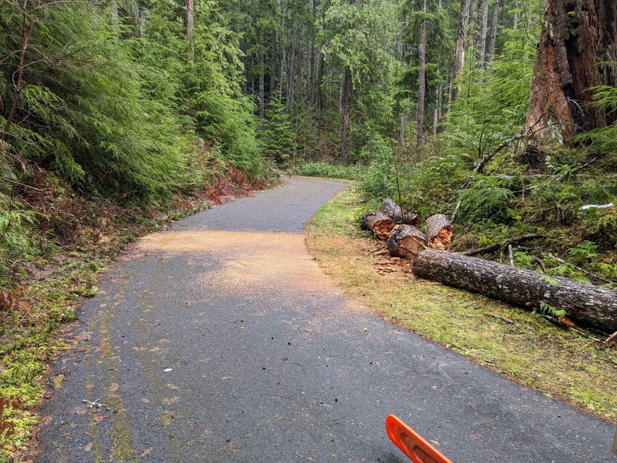 A portion of the finished trail west of Lake Crescent. Photo ODT