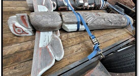 Photo CCSO 
Recovered Totem Poles.