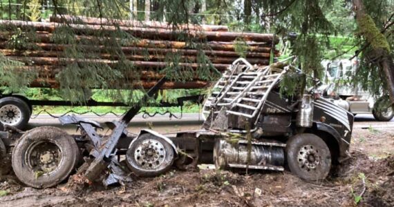 Photo shared by Michael Allen on Facebook. Photo taken after the logs were removed.