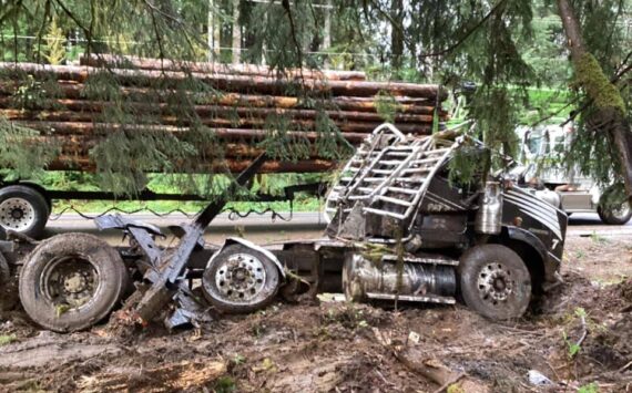 Photo shared by Michael Allen on Facebook. Photo taken after the logs were removed.