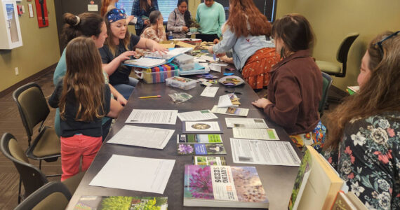Swap seeds and check out gardening resources at the Forks Library on April 19.