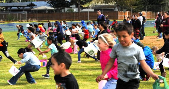 photos by Lonnie Archibald
The 5 to 8-year-olds were off and running at the sound of the horn in search of the prized Easter Eggs at the Tillicum Park baseball fields.