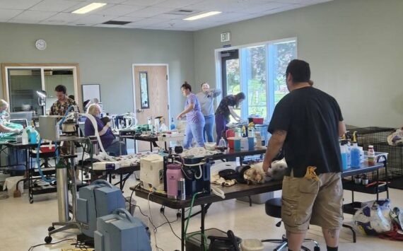 Submitted photo
Dr. Pat and Dr. Johnson, and staff perform spays and neuters at the Community Center.