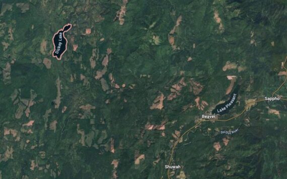 Google maps