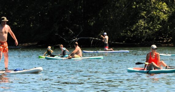 These pleasant Paddleboarders were many on Sunday afternoon at the Lake Pleasant County Park where many took to the lake to escape the heat. Paddleboarding and kayaking are both growing sports. Swimmers, boaters, tubers and picnickers were also out for a pleasant day. A pleasant day that is at Pleasant. Photo by Lonnie Archibald