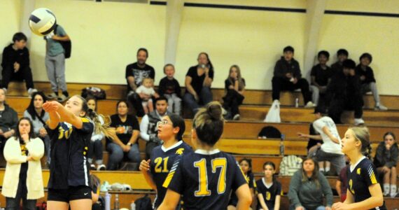 Spartan Piper McReynolds hits against Blue Heron, who Forks defeated 2 to 1 in seventh-grade volleyball played in the Forks auxiliary gym. Also in the action are Neena Fisher, Raleigh Thomason, and Pyper Graham.
Photo by Lonnie Archibald
