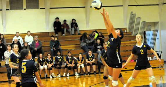 Spartan Neena Fisher hits against Chimacum, who defeated Forks 2 to 1 in a combination of 7th and 8th graders in middle school action, Oct. 13 in the Spartan Gym. Also in the action are Avonlea Fullwood (3), Jewel Salazar (5), and Pyper Graham (2). 
Photo by Lonnie Archibald