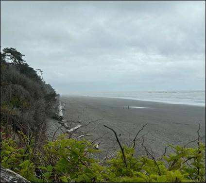 Community members can learn more about shoreline erosion at Kalaloch from Dr. Ian Miller on Nov.1 at the Forks Branch Library. Submitted photo