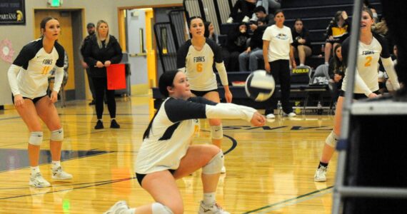 In volleyball action against Chief Leschi, Spartan Fynley Peters hits. Also in the action are Spartans Avery Dilley (11), Chloe Gaydeski (6), and Bailey Johnson (2). Forks defeated the Warriors 3 to 0. Photo by Lonnie Archibald.