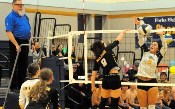 Photos by Lonnie Archibald
Forks’ Kailyn Crowder (9) in action at the net against North Beach in the Spartan Gym while shirtless Spartan rooters, (bottom left) cheer the girls on to victory.