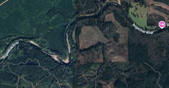 Turbo’s journey …found near the Valley View neighborhood on Monday.