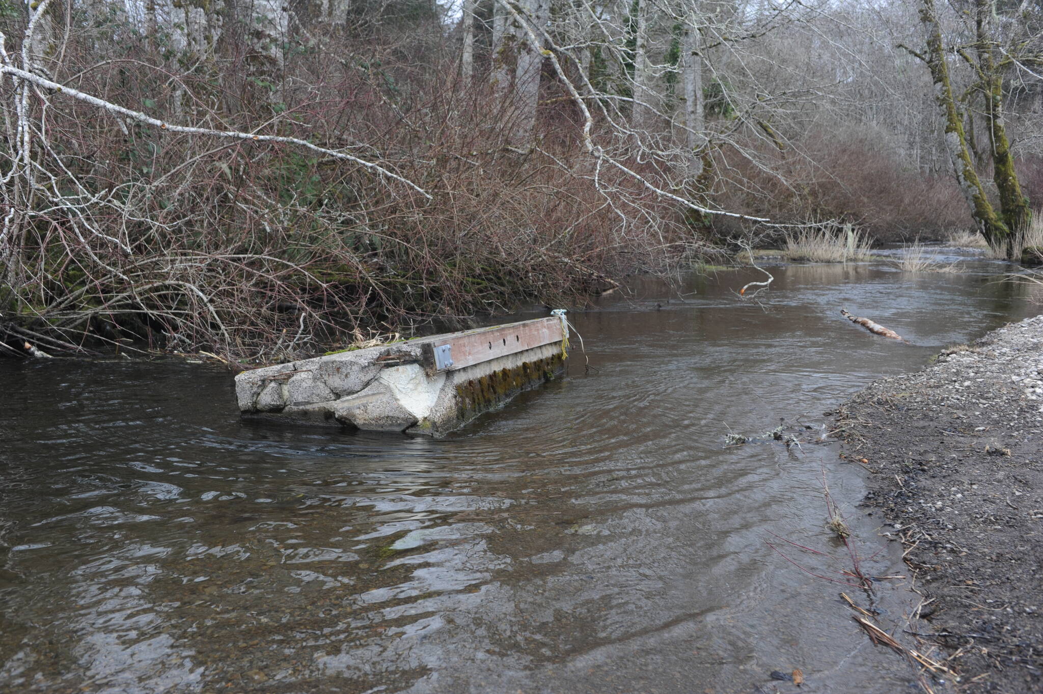 A derelict dock heading down the creek.