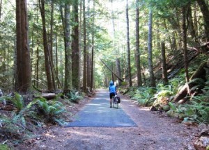 The Olympic Discovery Trail and some FS roads will experience closures through September 2016.