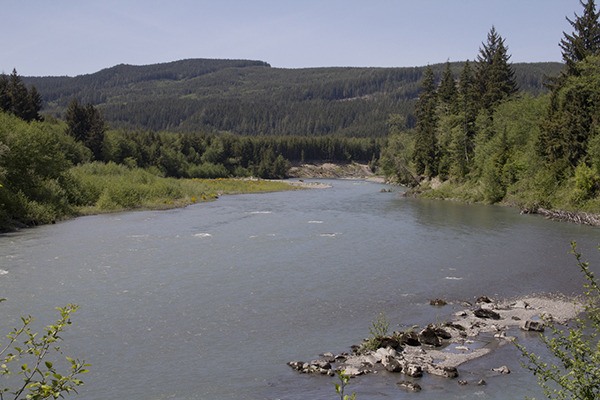 The Hoh River.
