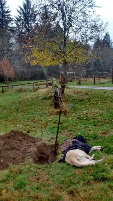 Chapter 19, Seeing Through