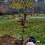 Chapter 19, Seeing Through