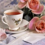 Bogachiel Garden Club Tea Jan. 21