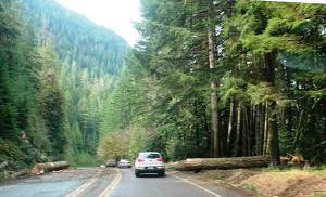 Contract Awarded for Lake Crescent Highway Rehab Project; Construction to Begin in Late April